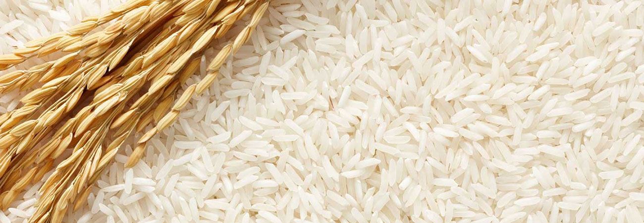 برنج 1